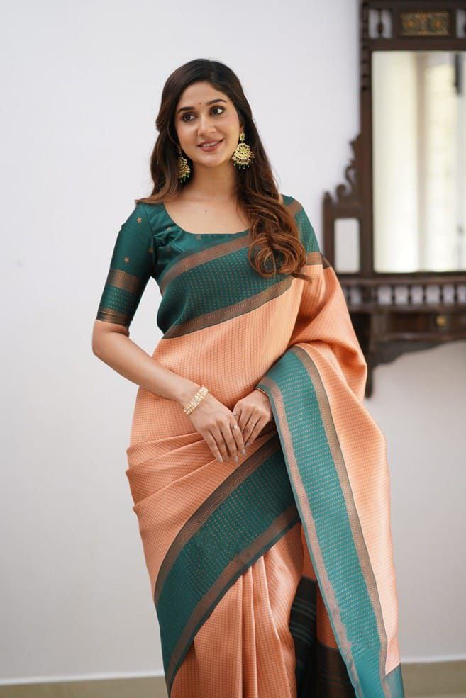 DDF 119 Banarasi Silk Designer Sarees Catalog